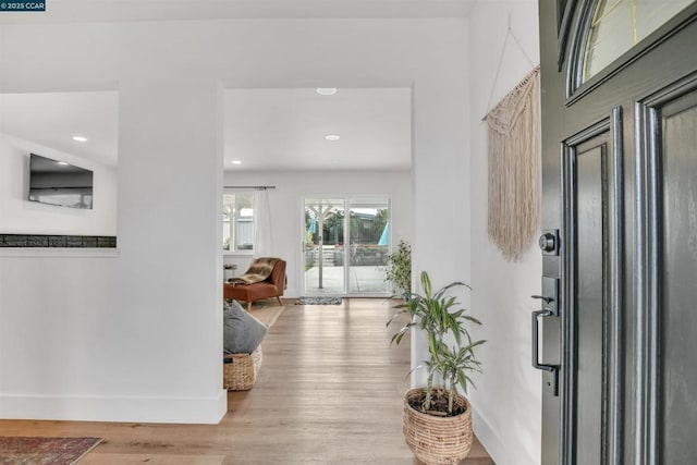 entrance foyer featuring light hardwood / wood-style flooring