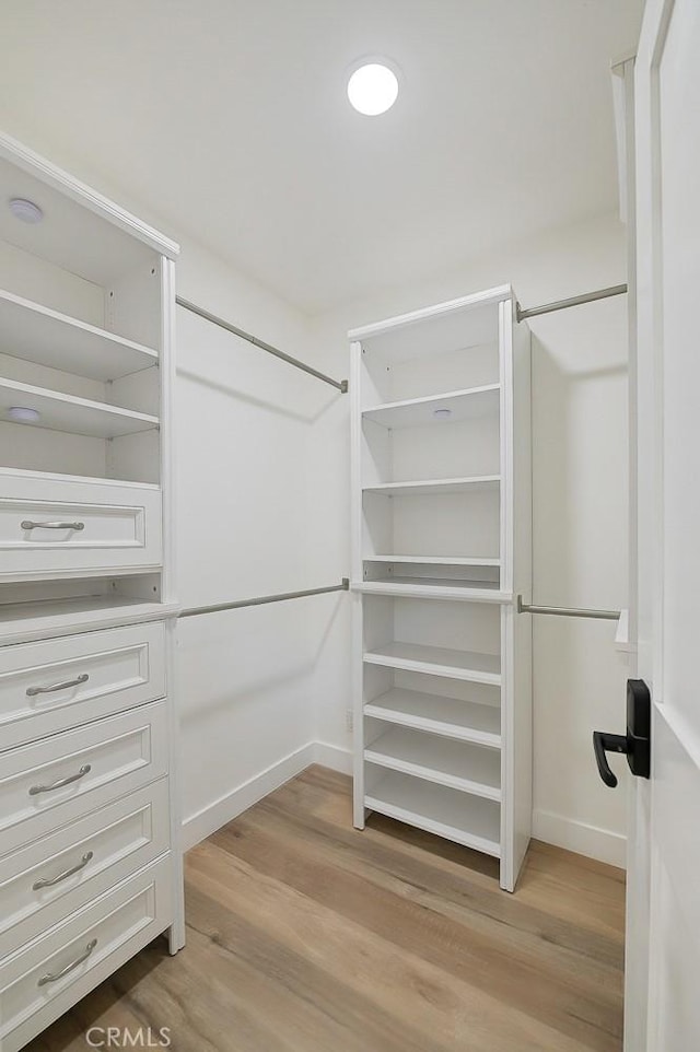 walk in closet featuring light hardwood / wood-style floors