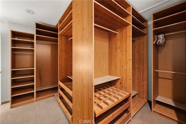 spacious closet featuring light carpet