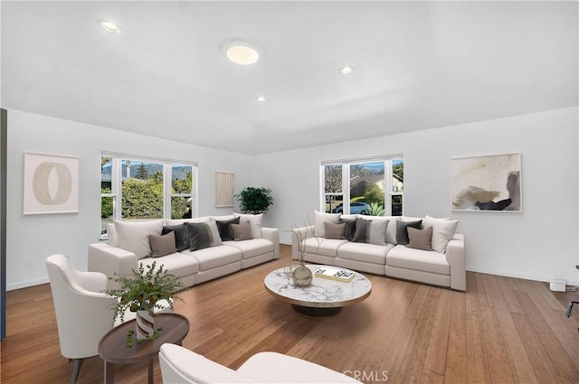 living room featuring plenty of natural light and wood-type flooring