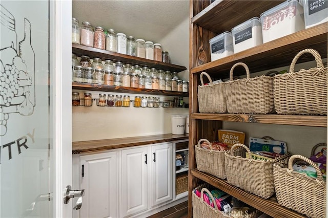 view of pantry