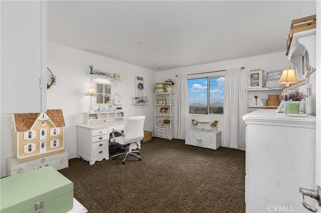 office space with dark colored carpet