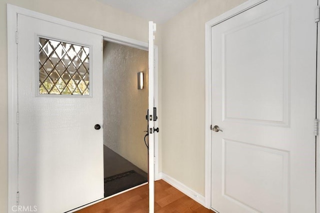 entryway featuring hardwood / wood-style flooring