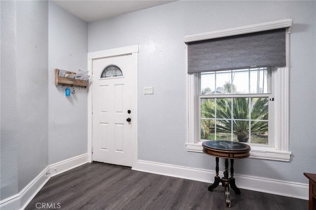 foyer featuring dark wood-type flooring and a healthy amount of sunlight