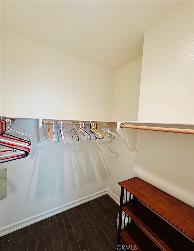 spacious closet featuring dark hardwood / wood-style flooring