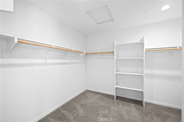 spacious closet featuring carpet floors and attic access