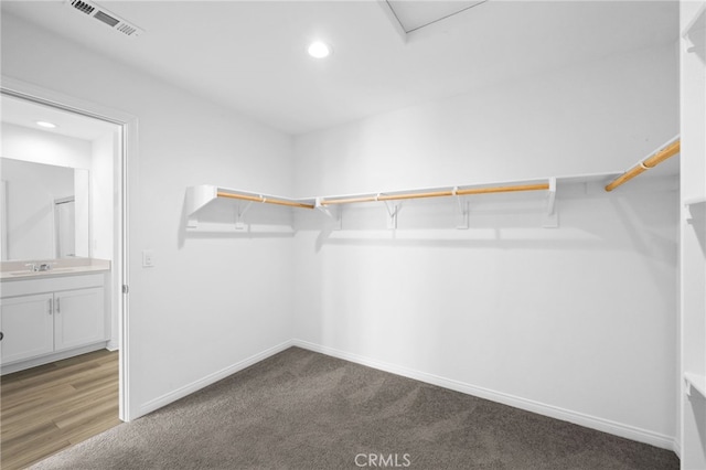 spacious closet with sink and carpet flooring