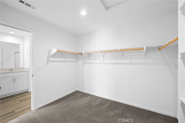 walk in closet featuring light carpet, a sink, and visible vents