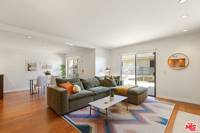 living room featuring wood-type flooring and a wealth of natural light