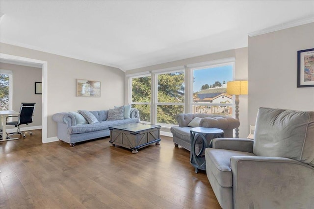 living room with wood-type flooring