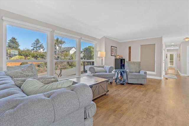 living room featuring light hardwood / wood-style floors