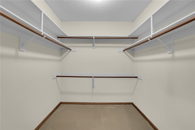 walk in closet with carpet floors