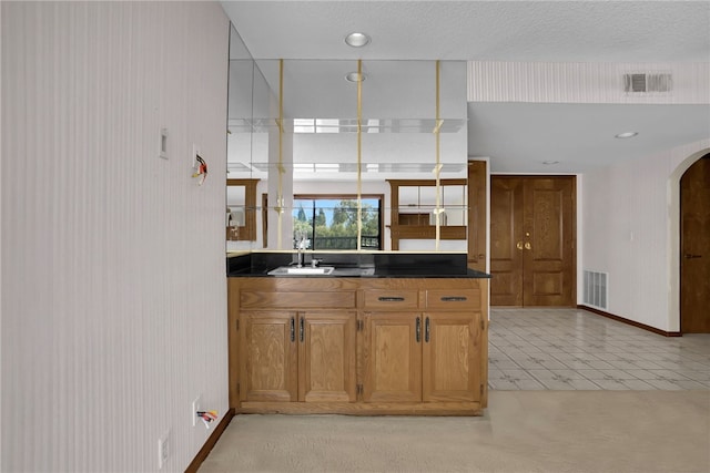 kitchen featuring sink, light colored carpet, and a textured ceiling