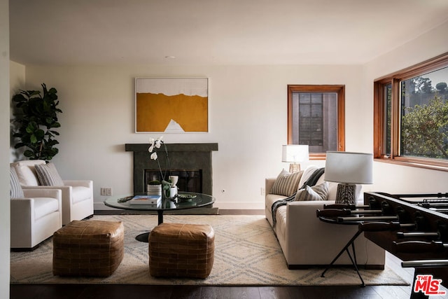 living room featuring hardwood / wood-style flooring and a fireplace