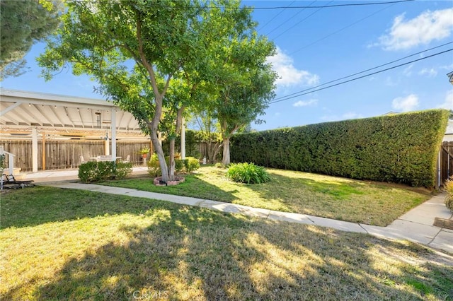 view of yard featuring a patio