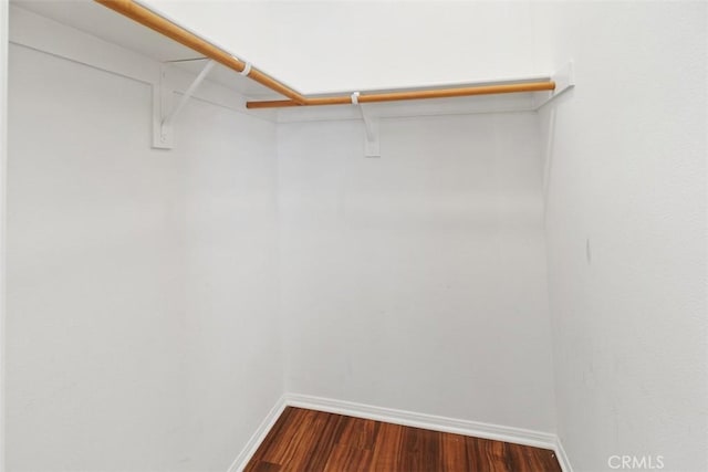 spacious closet featuring dark wood-style floors