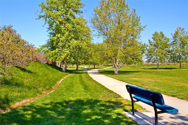 view of home's community with a yard