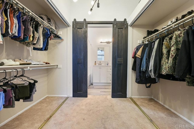 spacious closet with sink, carpet floors, and a barn door