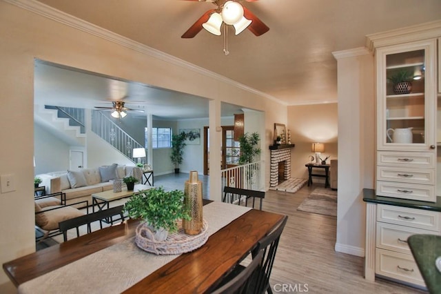 dining room with ornamental molding, ceiling fan, and light wood-type flooring