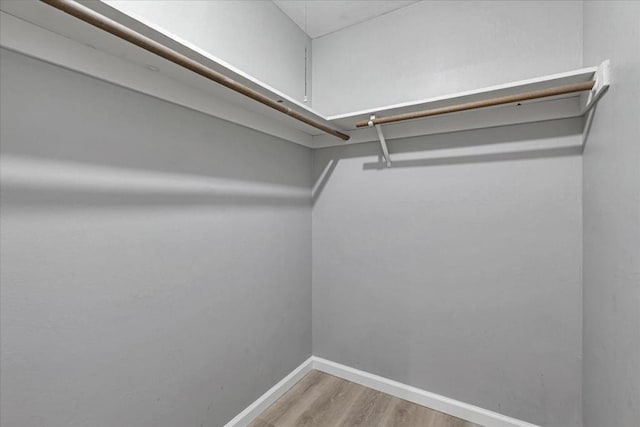 walk in closet with hardwood / wood-style flooring