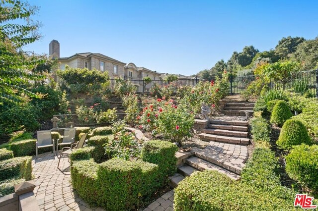 view of yard featuring a patio area