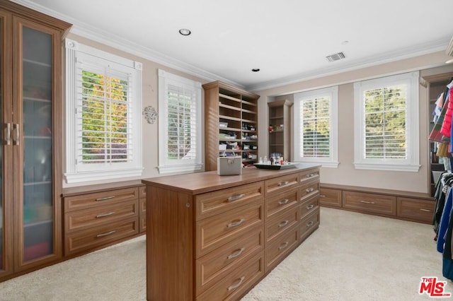 spacious closet with light carpet