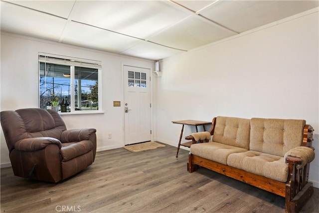 living room with hardwood / wood-style floors