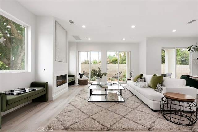 living room featuring a wealth of natural light and light hardwood / wood-style flooring