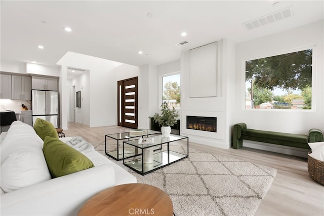 living room featuring a fireplace and light hardwood / wood-style floors