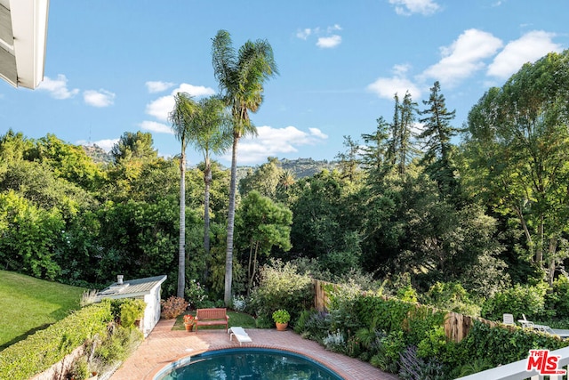 view of swimming pool with an outbuilding and a patio