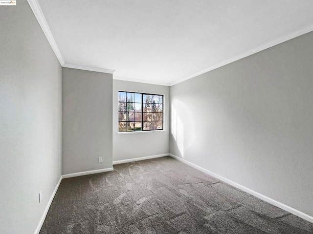 empty room featuring crown molding and carpet floors