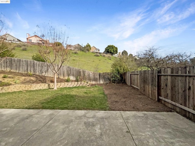 view of yard featuring a patio area