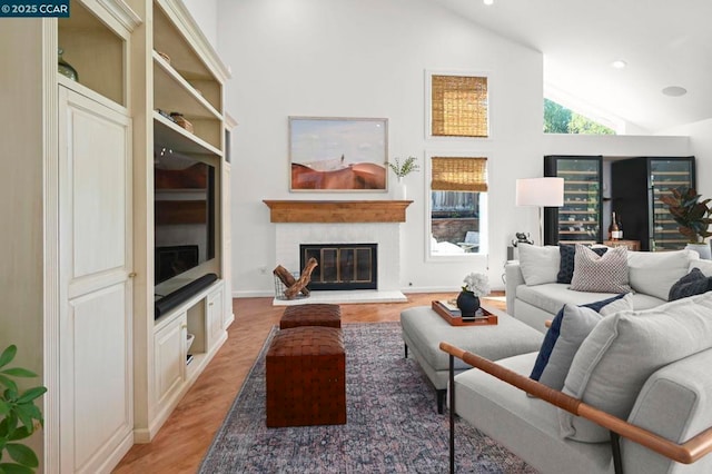 living room with wood-type flooring and high vaulted ceiling