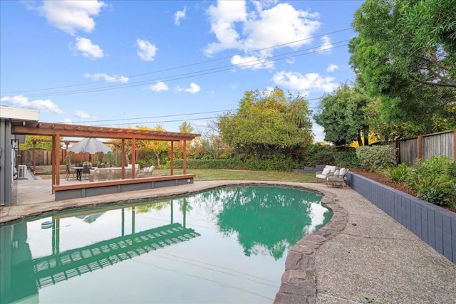 view of pool with a patio