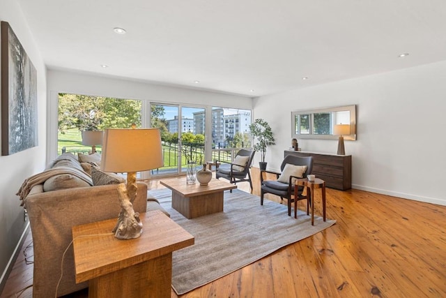 living room with light hardwood / wood-style floors