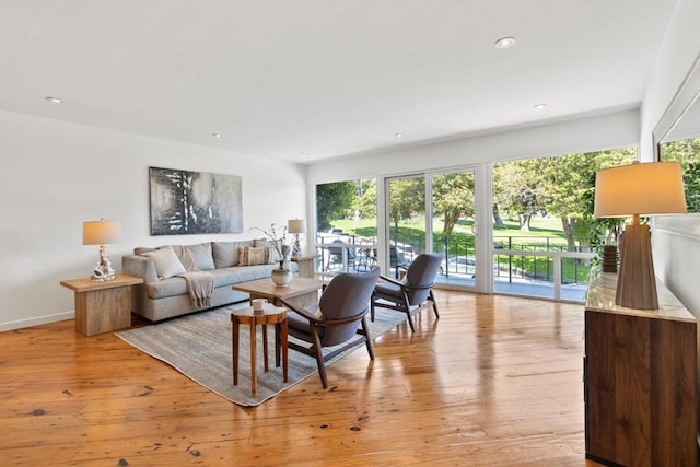 living room with light wood-type flooring