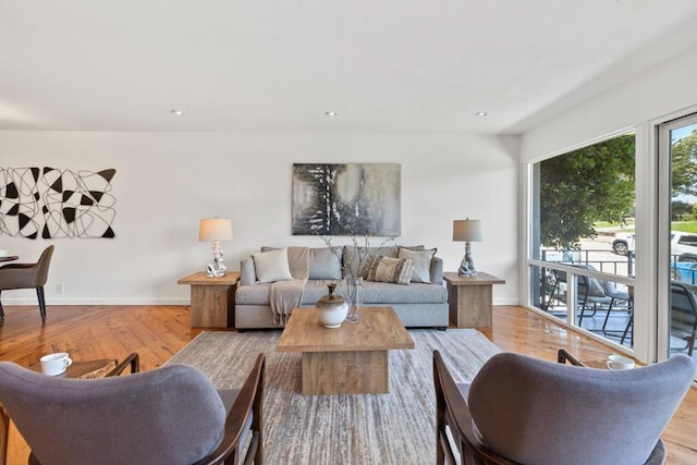 living room with light hardwood / wood-style flooring