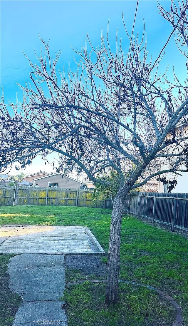 view of yard with a patio area