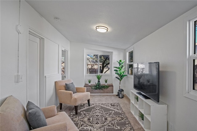 carpeted living room with a textured ceiling