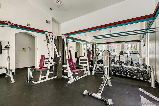 gym featuring lofted ceiling