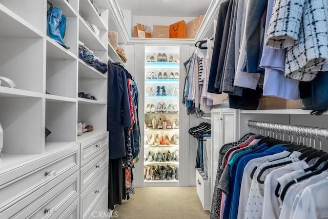 walk in closet with light carpet