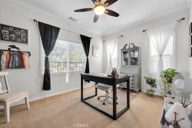 carpeted office with ceiling fan and crown molding