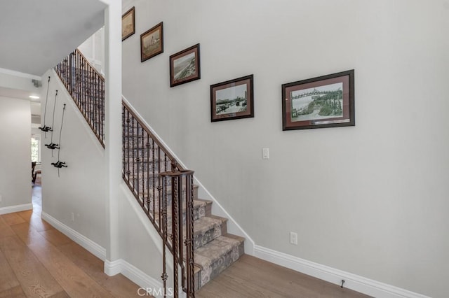 stairway featuring wood-type flooring