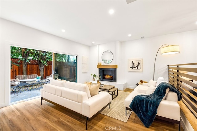 living room featuring wood-type flooring