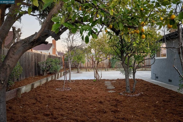 yard at dusk featuring a patio