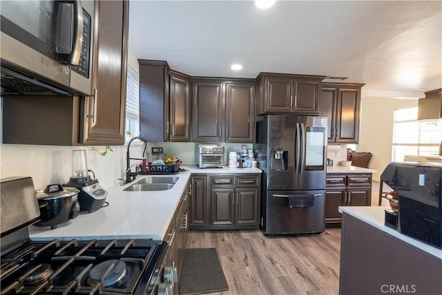 kitchen with dark brown cabinets, stainless steel appliances, light hardwood / wood-style floors, and sink