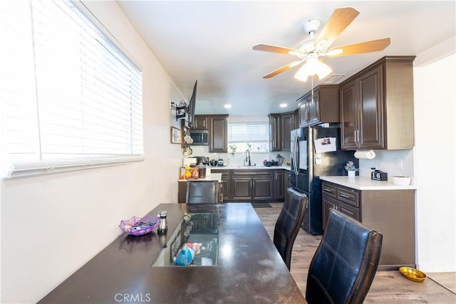 kitchen featuring ceiling fan, dark brown cabinets, sink, and light hardwood / wood-style floors