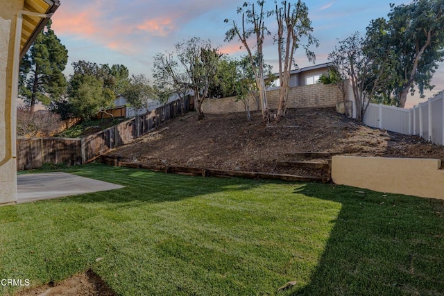 yard at dusk with a patio