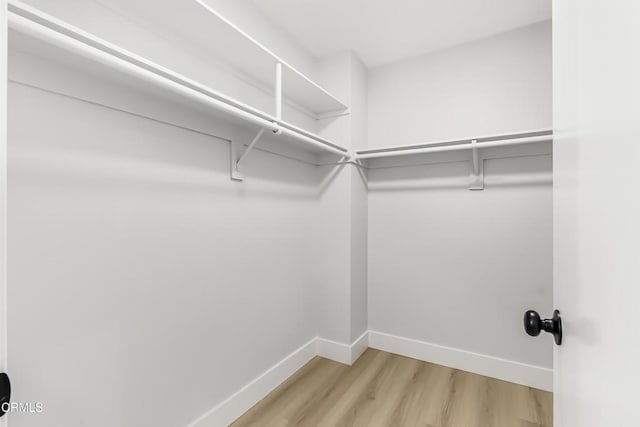 spacious closet with wood-type flooring