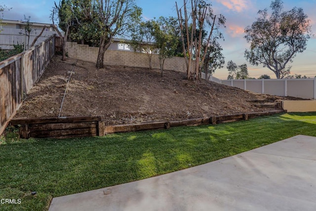 view of yard at dusk